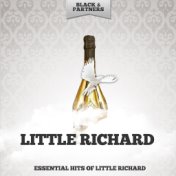 Essential Hits of Little Richard