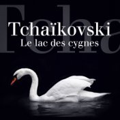 Tchaïkovski : Le Lac des cygnes