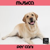 Musica Per Cani