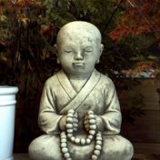 2020 | Mindfulness Meditation Sounds for Serenity