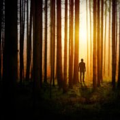 Mind Equilibrium | Forest Focus