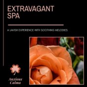 Extravagant Spa - A Lavish Experience With Soothing Melodies