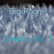 Big Room Dreams, Vol. 1