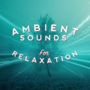 Ambient Sounds for Relaxation