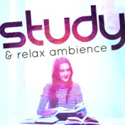 Study & Relax Ambience