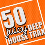 50 Juicy Deep House Trax