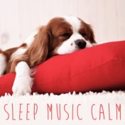Sleep Music Calm