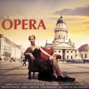 A Night at the Opera