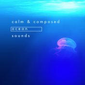 Calm & Composed Ocean Sounds
