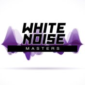 White Noise Masters