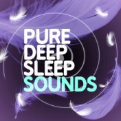 Pure Deep Sleep Sounds