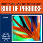 Bird of Paradise