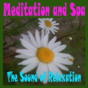 Meditation and Spa