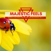 Majestic Feels - Peaceful Melodies For Healing And Relaxation, Vol. 5