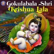Gokulabala Shri Krishna Lala