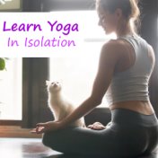 Learn Yoga In Isolation