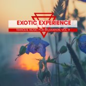 Exotic Experience - Tranquil Music For Relaxation, Vol. 9