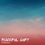 #16 Peaceful Soft Collection for Reiki & Relaxation
