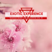 Exotic Experience - Tranquil Music For Relaxation, Vol. 10