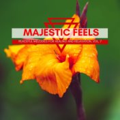 Majestic Feels - Peaceful Melodies For Healing And Relaxation, Vol. 7