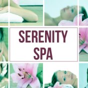 Serenity Spa - Harmony of Senses, Relaxing Background Music, Pure Nature Sounds for Stress Relief