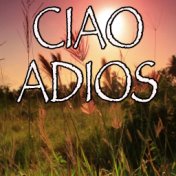 Ciao Adios - Tribute to Anne-Marie