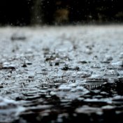 Autumn Rain Playlist: Easy Songs for Relaxation