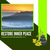 Restore Inner Peace - Calming Music For Home Quarantine, Vol. 5