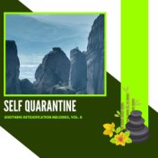 Self Quarantine - Soothing Detoxification Melodies, Vol. 8