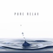 Pure Relax – Peaceful Sounds to Rest, Music Zone, Nature Music for Relaxation, Reduce Stress, Sounds of Nature, Deep Meditation,...