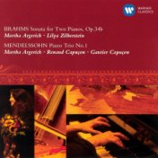 Brahms: Sonata for Two Pianos, Op. 34b - Mendelssohn: Piano Trio No. 1 (Live)