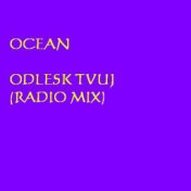 Odlesk tvuj (Radio Mix)