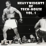 Heavyweights Of Tech-House, Vol. 1