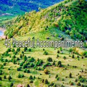 45 Peaceful Accompaniments