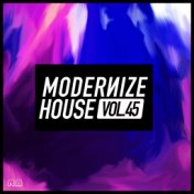 Modernize House, Vol. 45