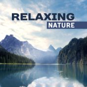 Relaxing Nature – Soft Music to Relax, Time to Rest, Nature Sounds to Clean Mind