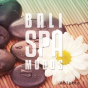 Bali Spa Moods, Vol. 1 (Peaceful Chill out Music)