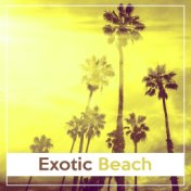Exotic Beach – Chillout, Relax, Lounge, Tropical Island, Deep Chill, Summer Music 2017