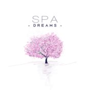 Spa Dreams – Music for Relaxation, Massage, Wellness, Peaceful Sounds for Healing, Stress Relief, Nature Spa Music, New Age