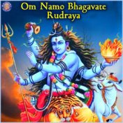 Om Namo Bhagavate Rudraya