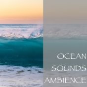 Ocean Sounds Ambience