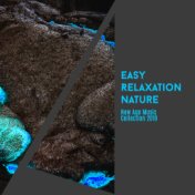 Easy Relaxation Nature New Age Music Collection 2019