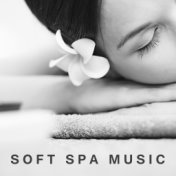Soft Spa Music – Peaceful Nature Sounds for Massage, Wellness, Pure Mind, Zen Music to Calm Down, Relief, Relaxation, Gentle Nat...