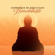 Expérience de Méditation Bouddhiste – 2019 New Age Musique de Yoga Naturelle