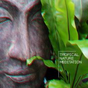 Tropical Nature Meditation: 2019 New Age Music for Yoga Training & Relaxation, Songs Straight from the Tropical Island, Sounds o...