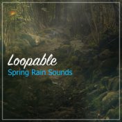 #20 Loopable Spring Rain Sounds