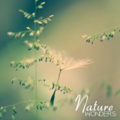 Nature Wonders – Sounds of Nature for Pure Relaxation, Sleep, Spa, Deep Meditation, Massage, Inner Harmony, Zen Lounge, Healing ...