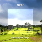Quiet Rain Droplet Songs