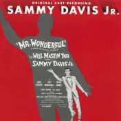 Mr. Wonderful (1956 Broadway Cast Recording)