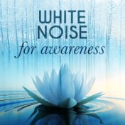 White Noise for Awareness